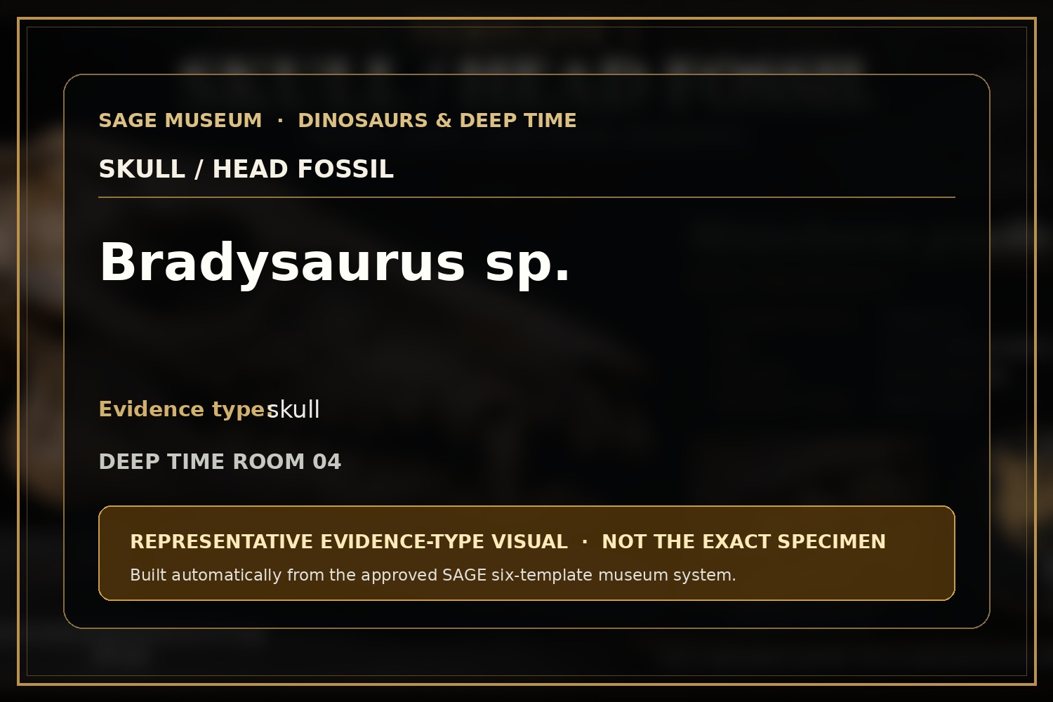 Pareiasaur reptile. Representative evidence-type visual; not the exact specimen.