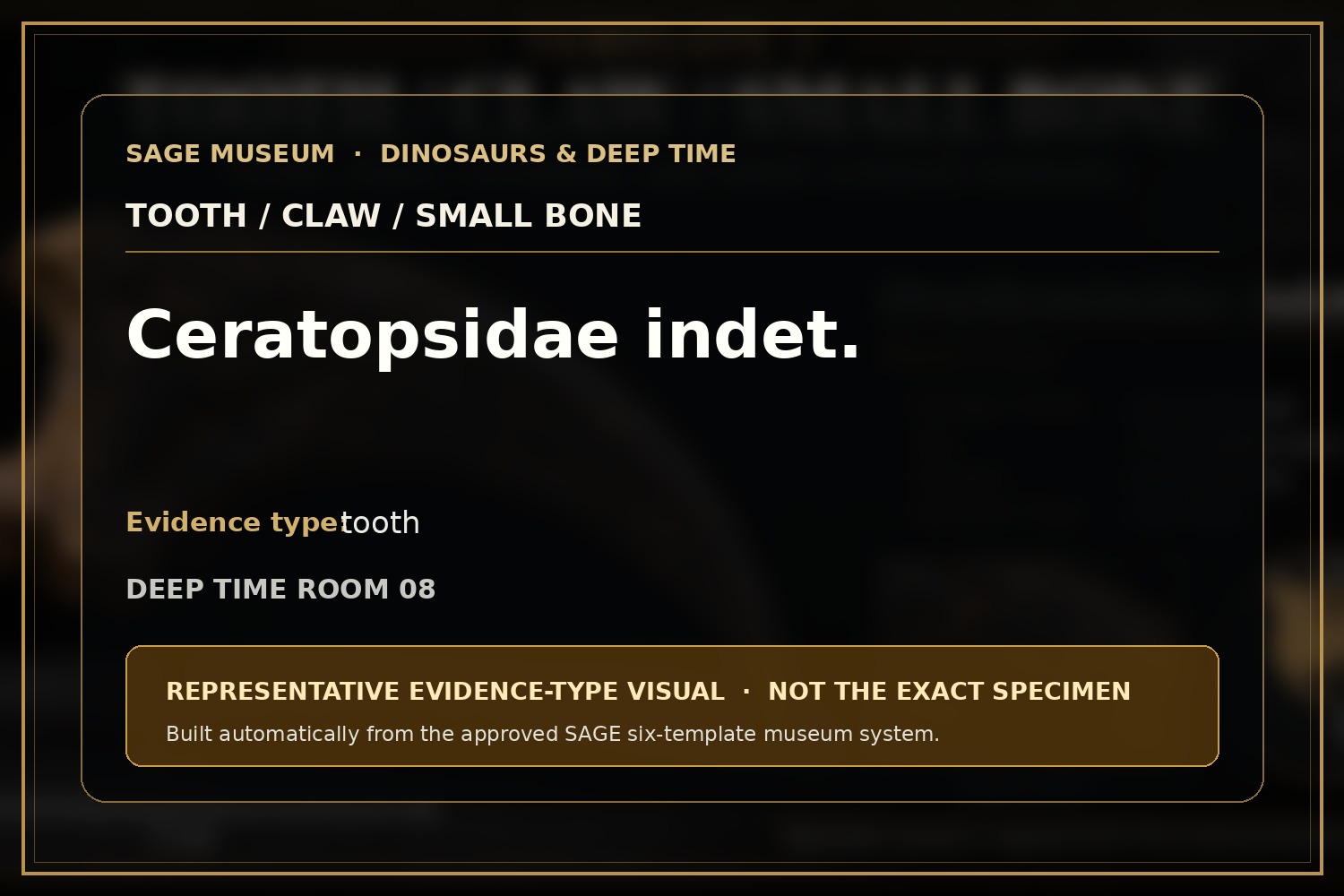 Ceratopsian. Representative evidence-type visual; not the exact specimen.