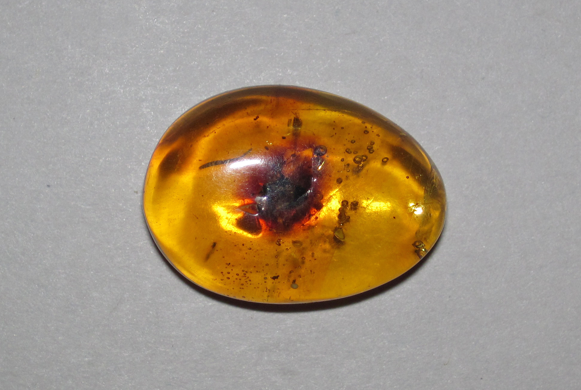 Amber with insects. comparative_amber_inclusion_visual