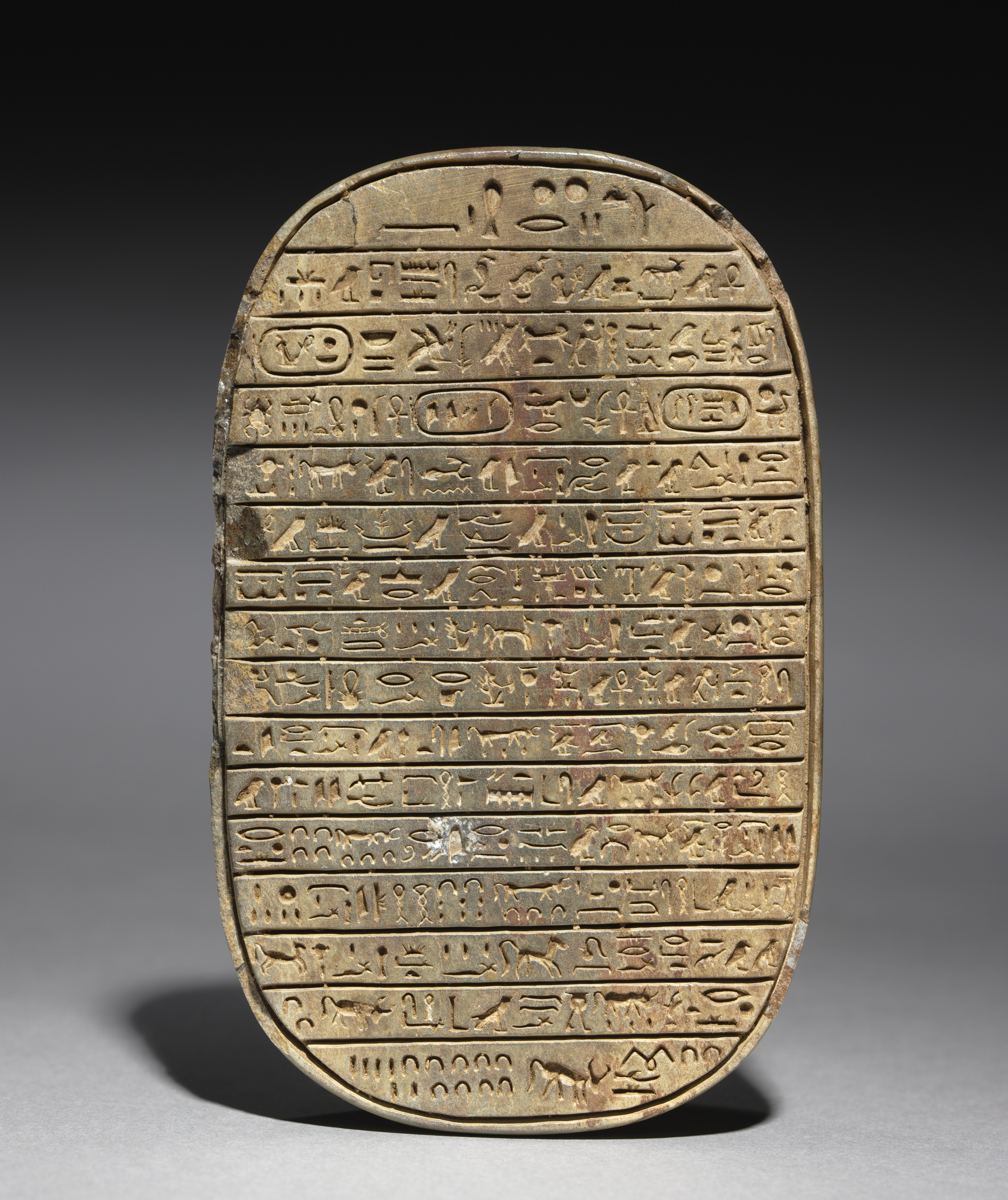 Wild Bull Hunt Scarab of Amenhotep III