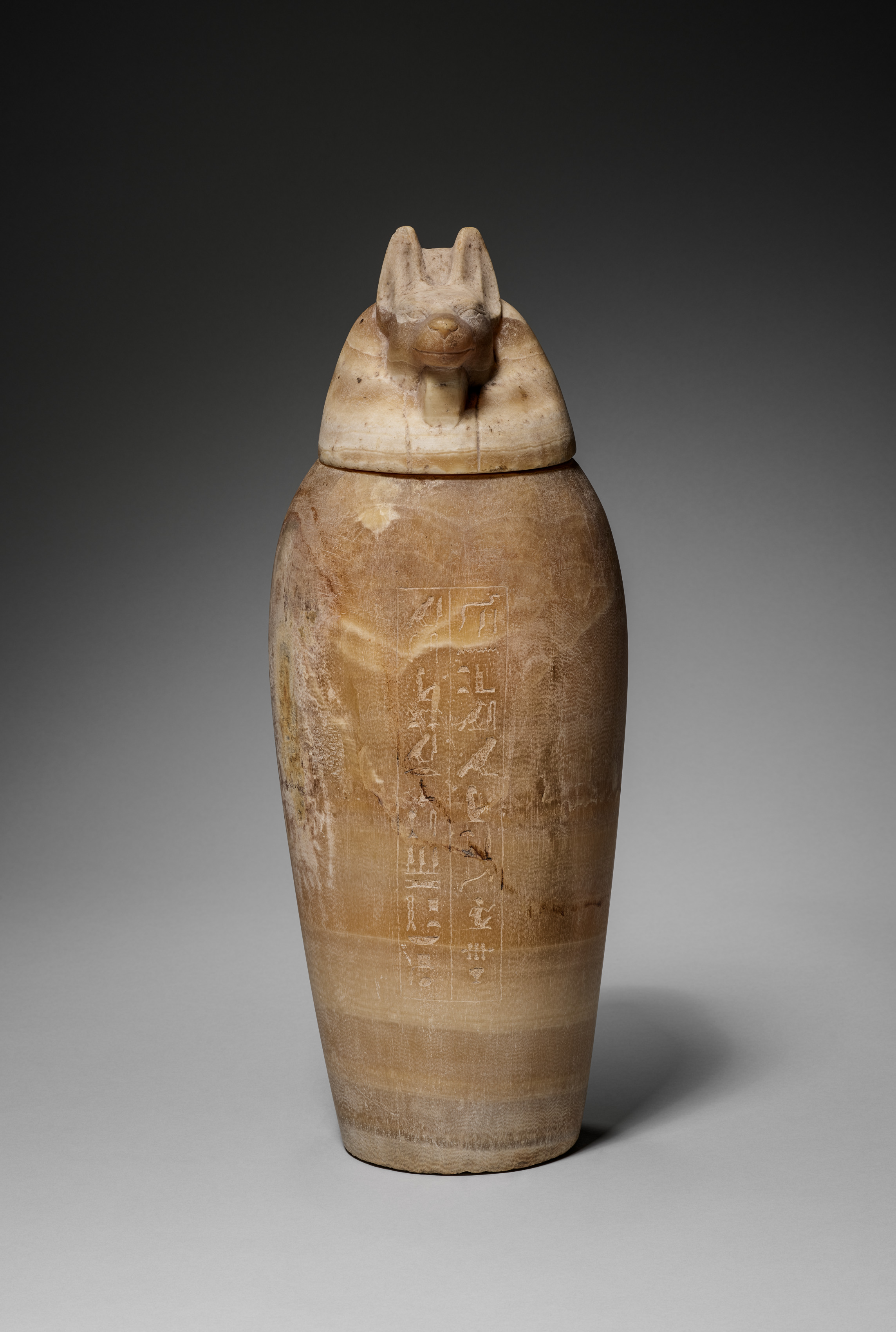 Canopic Jar with Jackal's Head